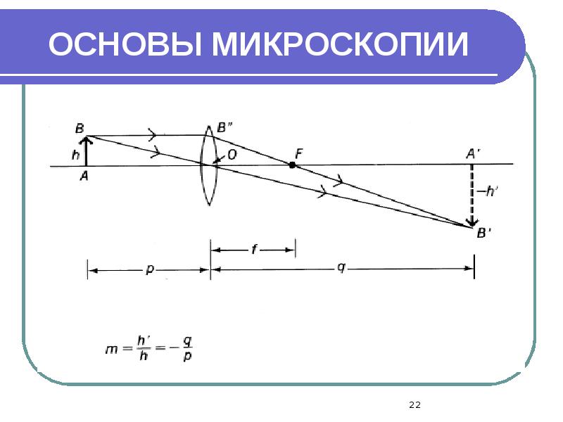 ОСНОВЫ МИКРОСКОПИИ ОСНОВЫ МИКРОСКОПИИ