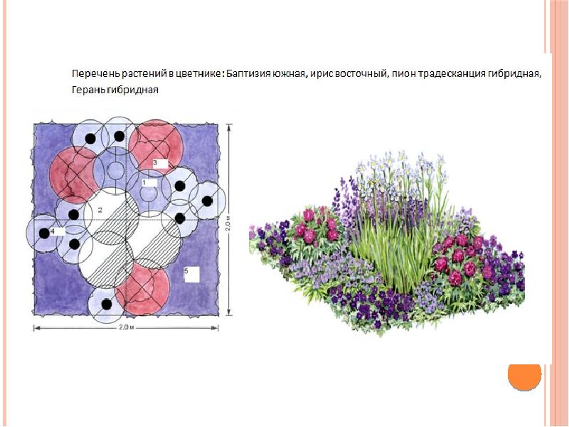 На рисунке изображен план клумбы с цветами вокруг которого нужно поставить изгородь