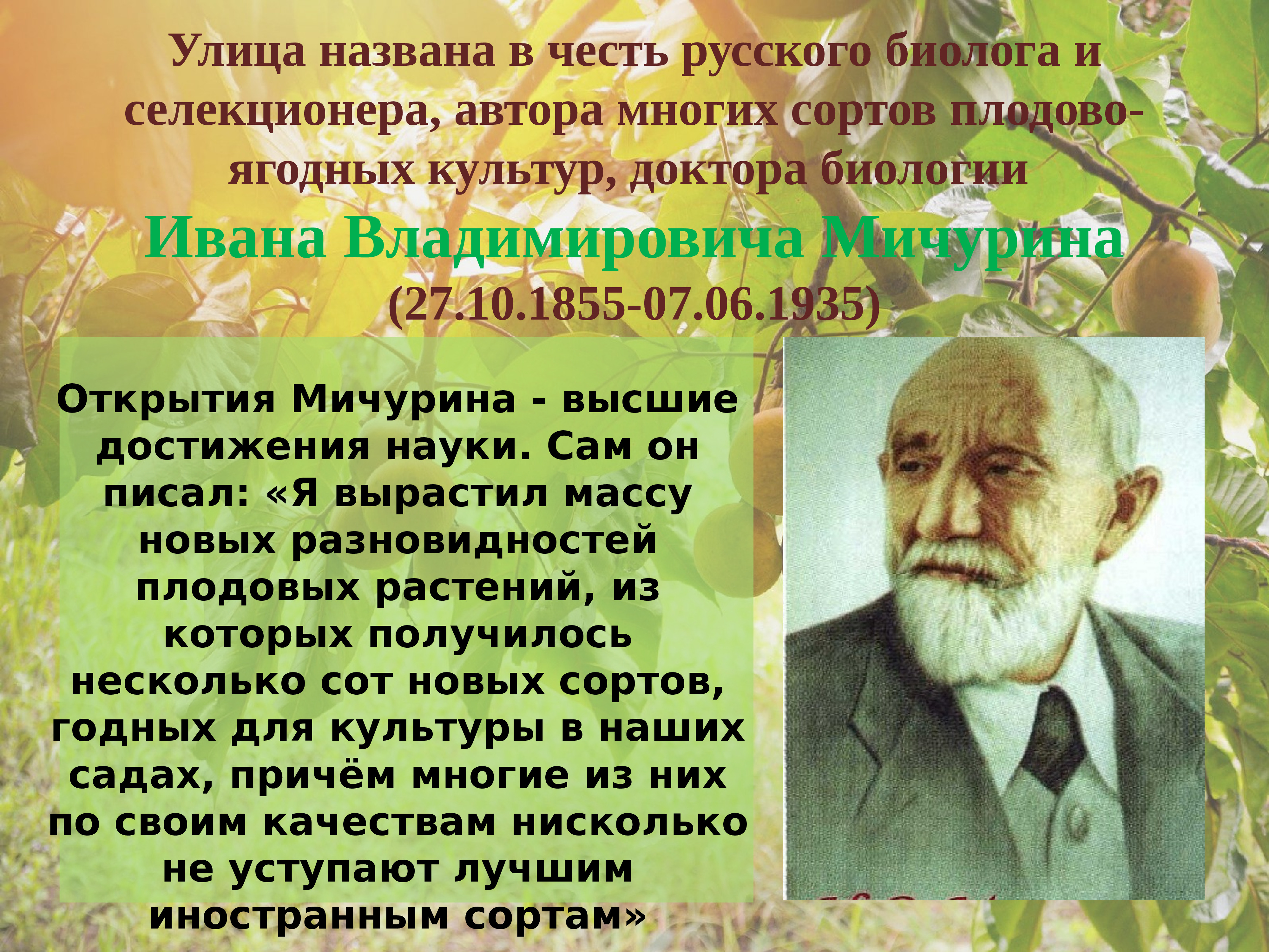 Названы в честь ученых. Иван Мичурин портрет. Иван Мичурин (1855 – 1935) биолог, селекционер. Иван Мичурин русский биолог и селекционер. Биолог и селекционер Автор многих сортов плодово-ягодных культур.