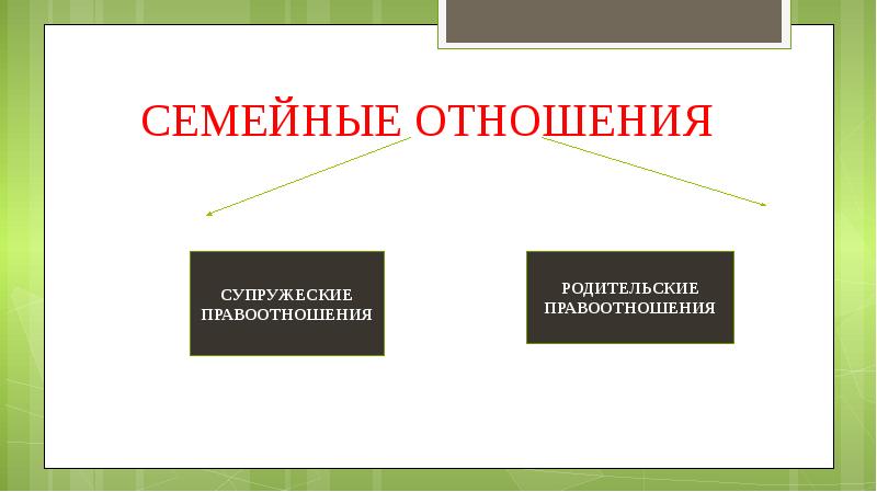 Виды семейных правоотношений схема