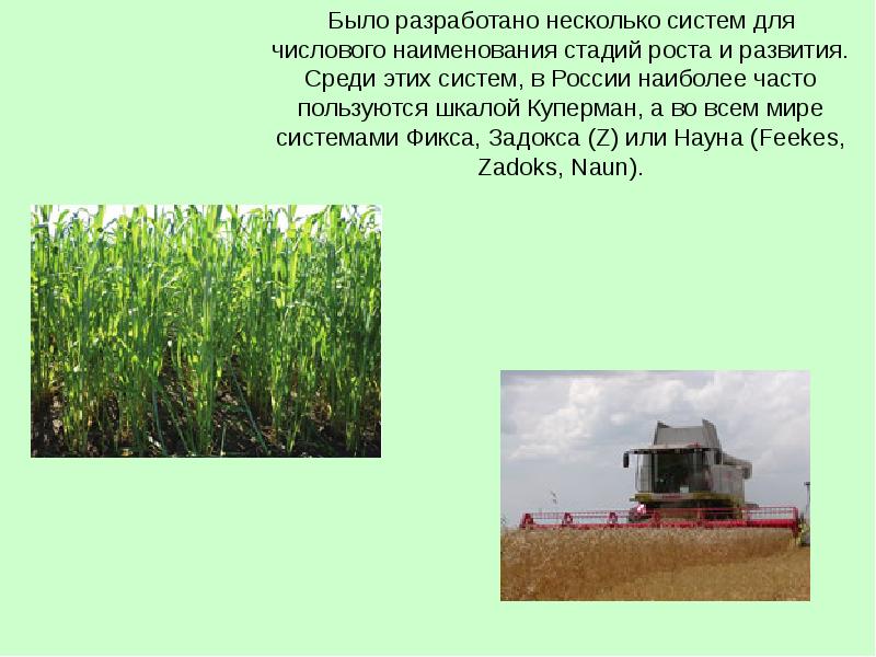 Используя информационные ресурсы подготовьте обзор