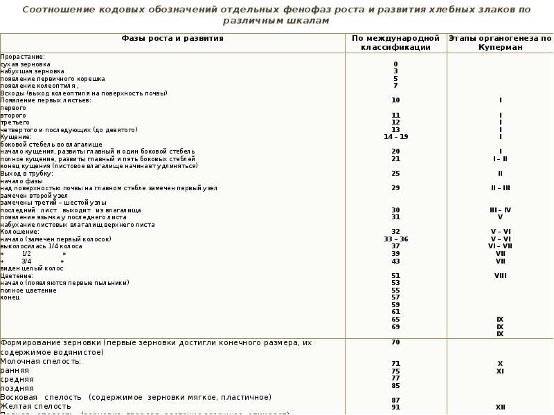 Используя информационные ресурсы подготовьте презентацию проекта о восстановлении численности