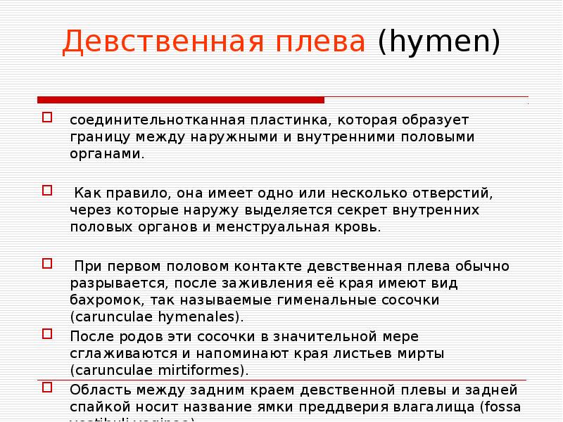 Бесплатно Про Целок