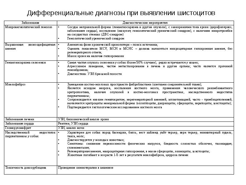 Дифференциальные диагнозы при выявлении шистоцитов Дифференциальные диагнозы при выявлении шистоцитов