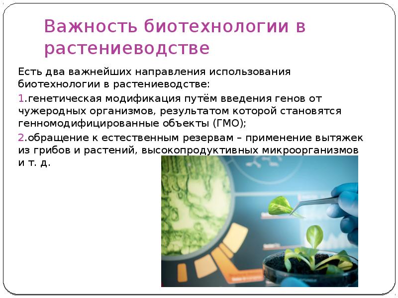 Ученые отмечают что в высокоразвитых странах на первый план выходят биотехнологии