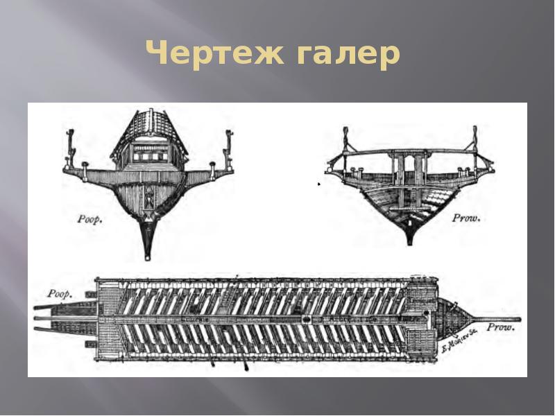 Галера двина чертежи