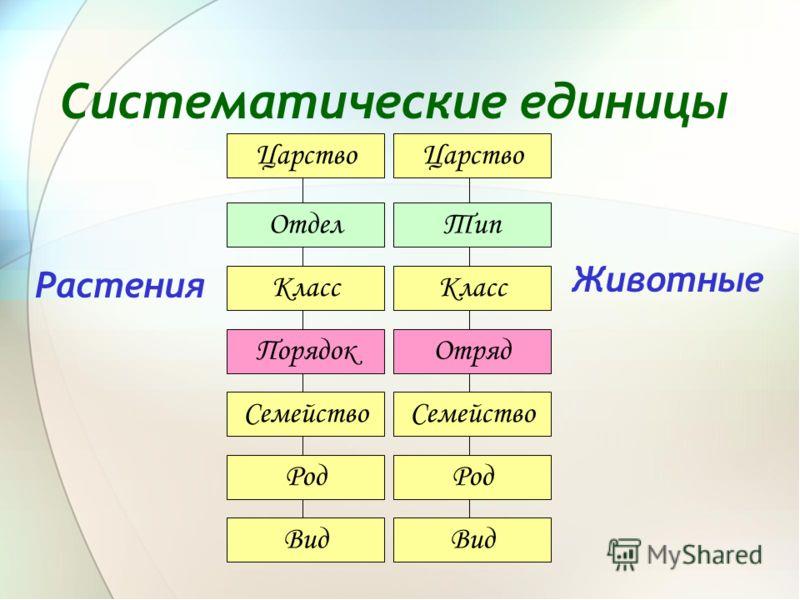 Презентация систематика 11 класс