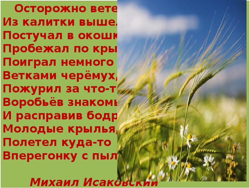 Днем ветер будет. День ветра. Праздник 15 июня день ветра. Презентация к Всемирному Дню ветра. Всемирный день ветра история праздника.