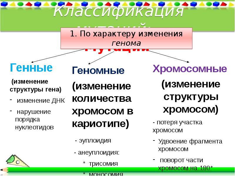 10 кл презентация изменчивость