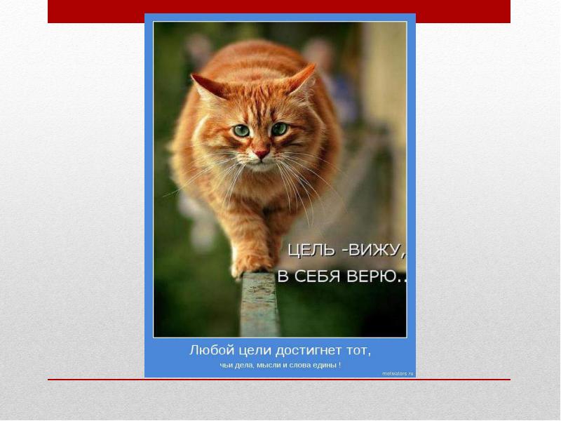 Цель вижу. Цель вижу в себя верю. Цель вижу в себя верю кот. Цель вижу в себе уверен. Цель вижу в себя верю картинки.