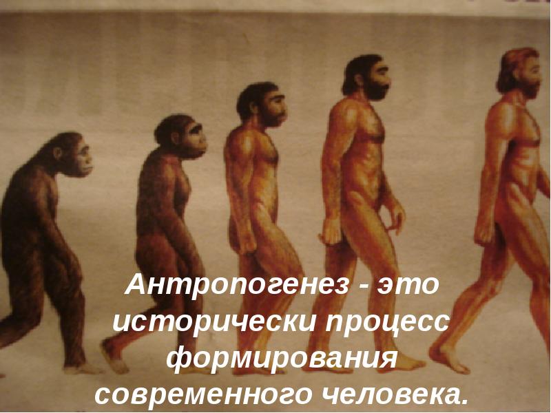 Антропогенез - это исторически процесс формирования современного человека. Антропогенез - это исторически процесс формирования современного человека.