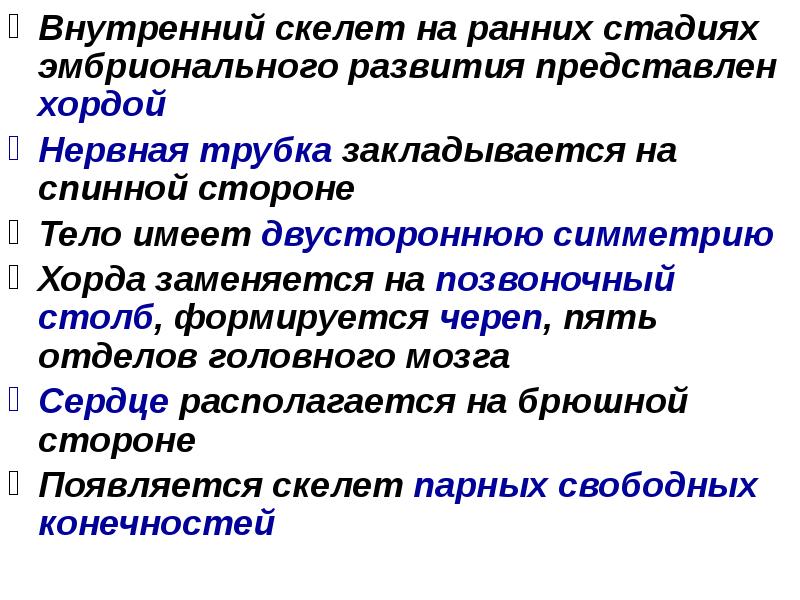 Внутренний скелет на ранних стадиях эмбрионального развития представлен хордой
Нервная трубка Внутренний скелет на ранних стадиях эмбрионального развития представлен хордой
Нервная трубка