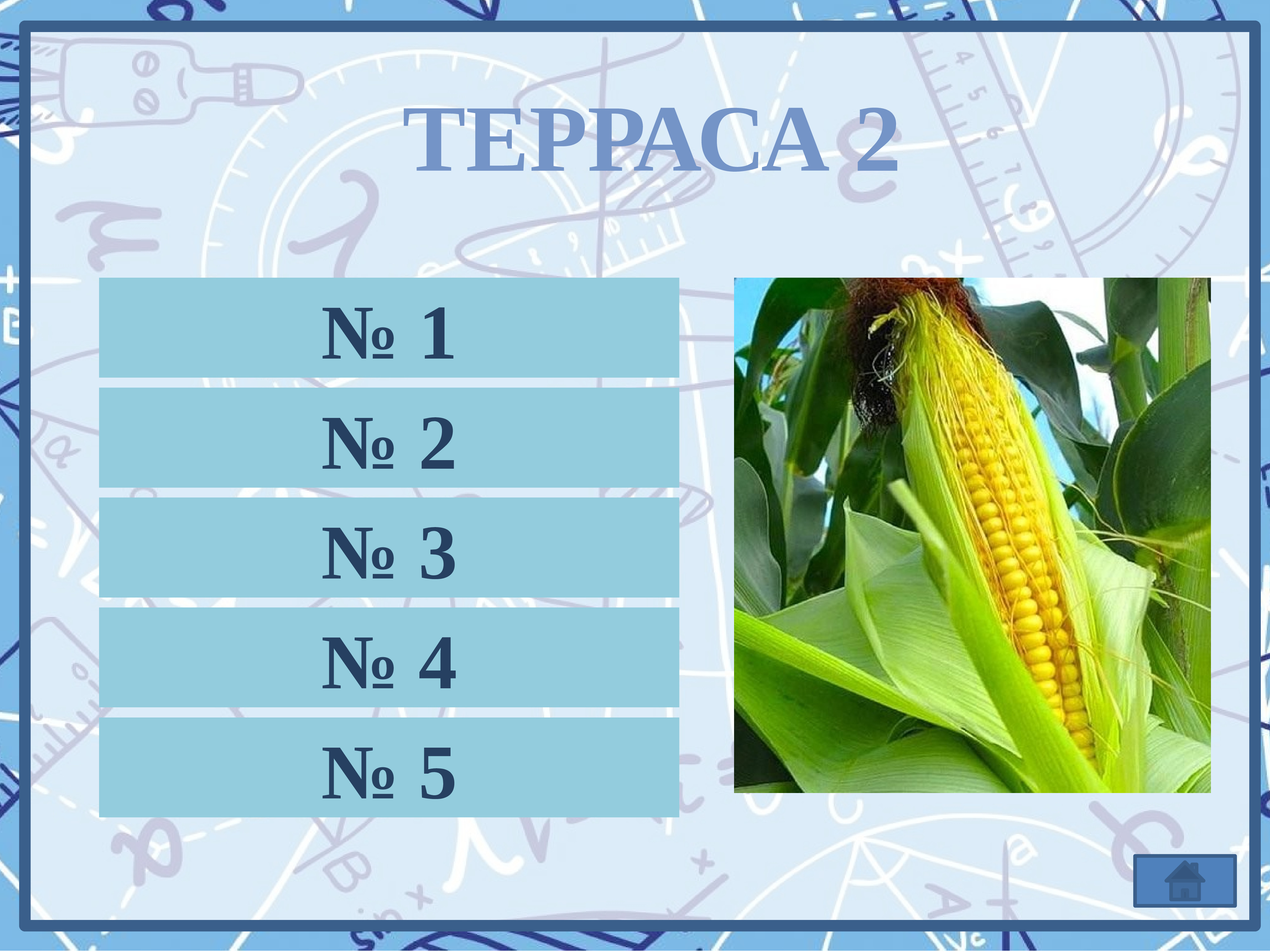 Террасы огэ презентация