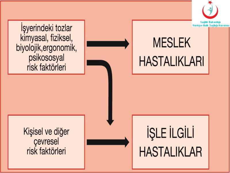 MESLEK HASTALIKLARI