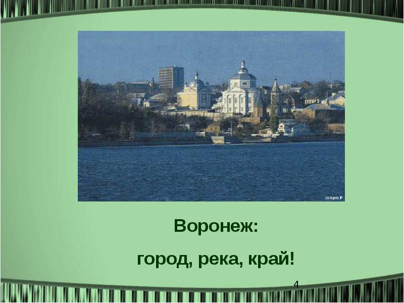 Проект по городу воронеж