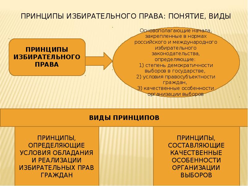 Избирательные системы и избирательный процесс презентация 10 класс