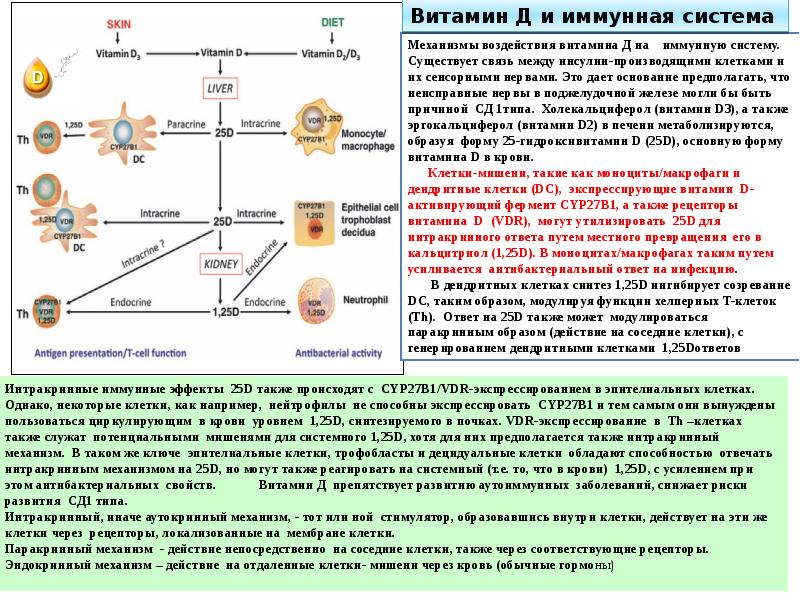 Схема вит д