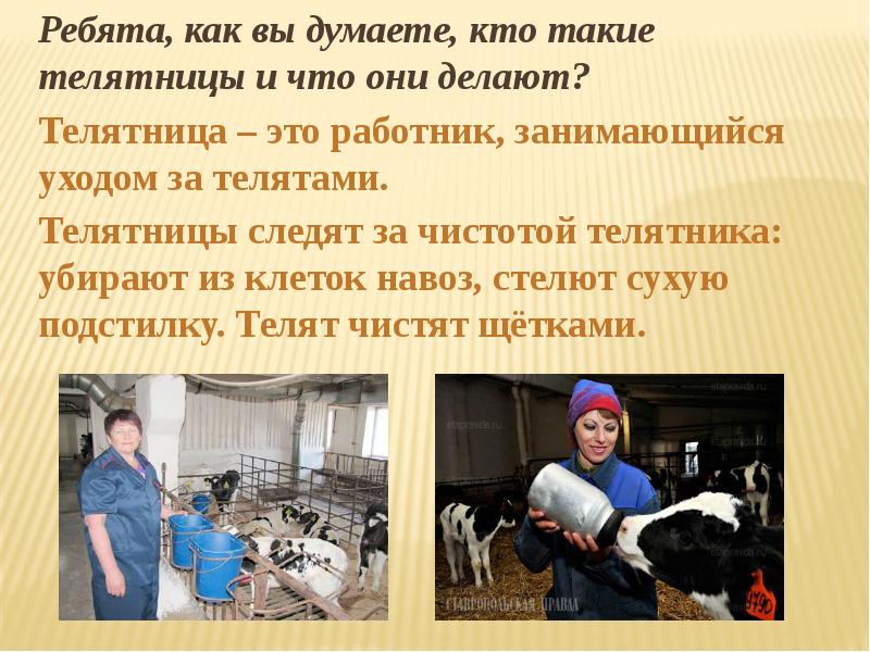 Содержание рассказа корова. Содержание рассказа корова
