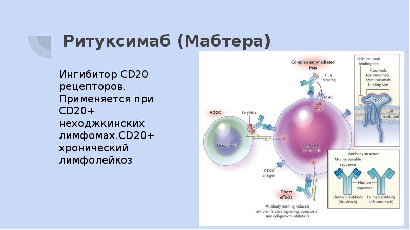 Презентация таргетная терапия