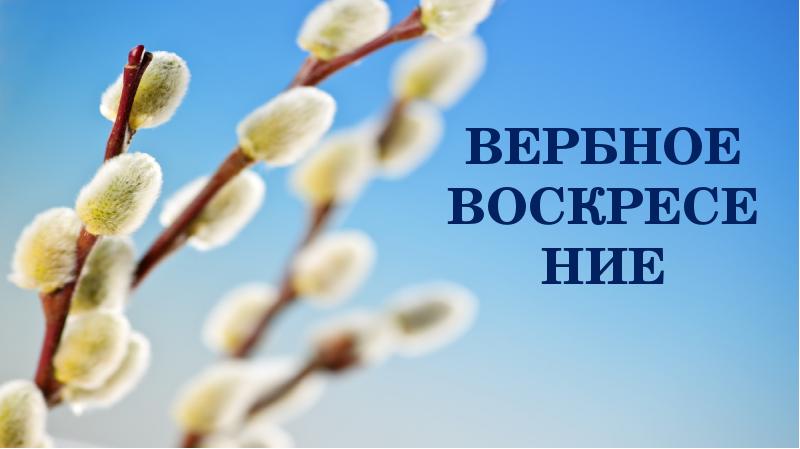 Презентация на тему вербное воскресенье