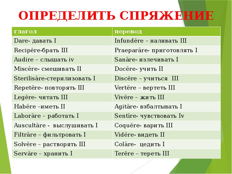 Проект переводится как