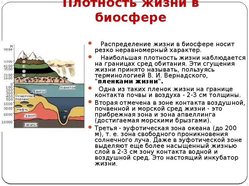 Состав и функции биосферы презентация