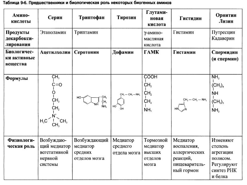 Биологические функции аминокислот. Образование биогенных Аминов гистамина. Биороль биогенных Аминов. Образование биогенных Аминов гистамина серотонина ГАМК. Биологическая роль биогенных Аминов.