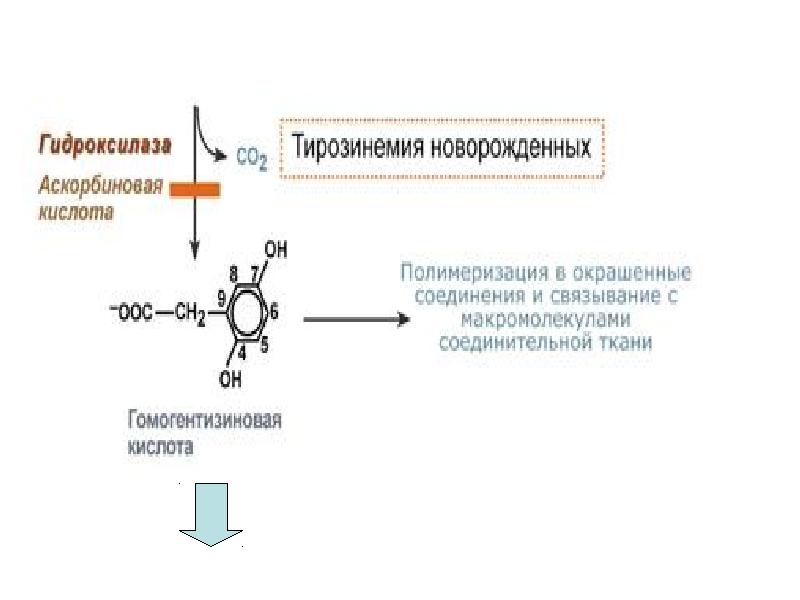 Тирозинемия у детей презентация