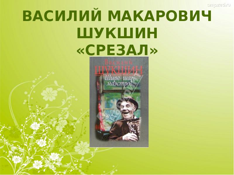 Срезал шукшин презентация 6 класс