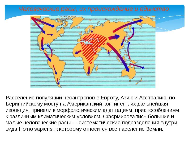 Роль биологических теорий идей гипотез в формировании современной естественнонаучной картины мира