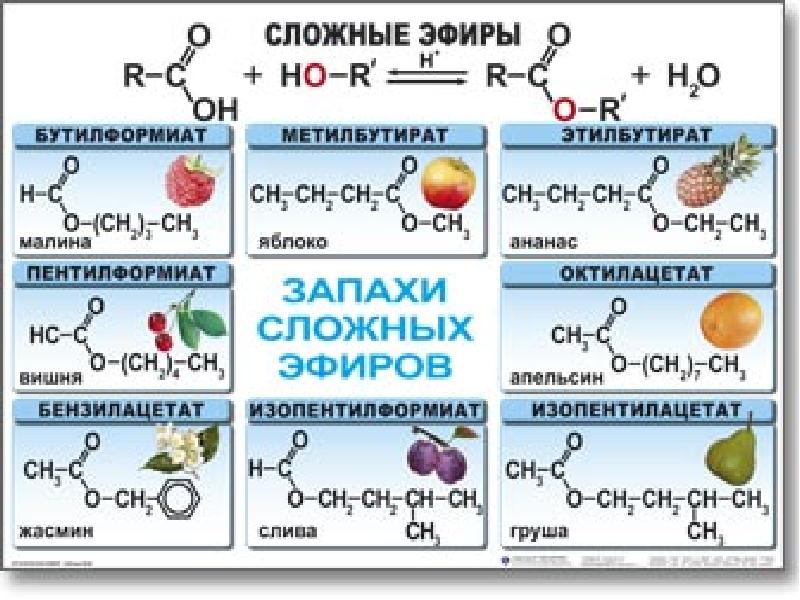 Химия запахов проект