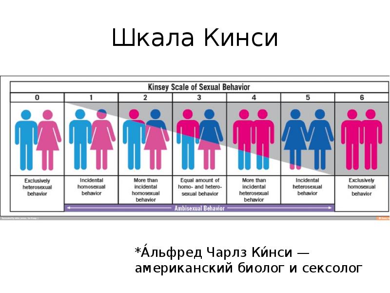 Шкала Кинси Шкала Кинси