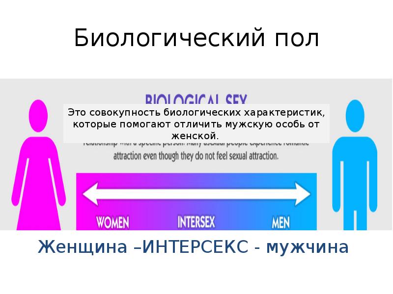 Биологический пол Биологический пол