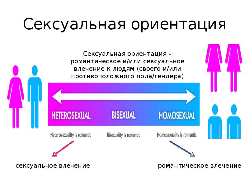 Сексуальная ориентация Сексуальная ориентация