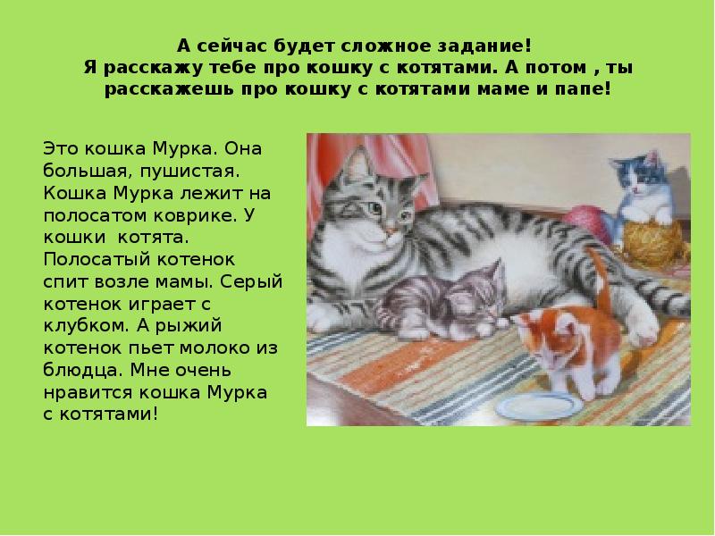 Презентация про котят