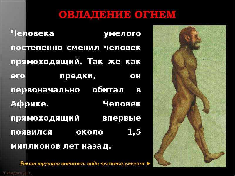 Когда появился человек прямоходящий. Человек прямоходящий внешний вид. Сообщение о первобытной эпохе. Искусство человека прямоходящего.