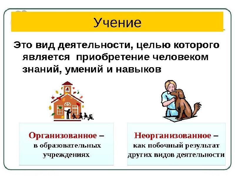 Вид работ 6. Деятельность учение. Вид деятельности учение. Деятельность человека учение. Учение это в обществознании.