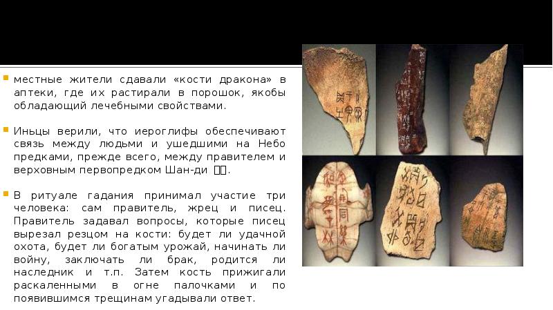 местные жители сдавали «кости дракона» в аптеки, где их растирали в