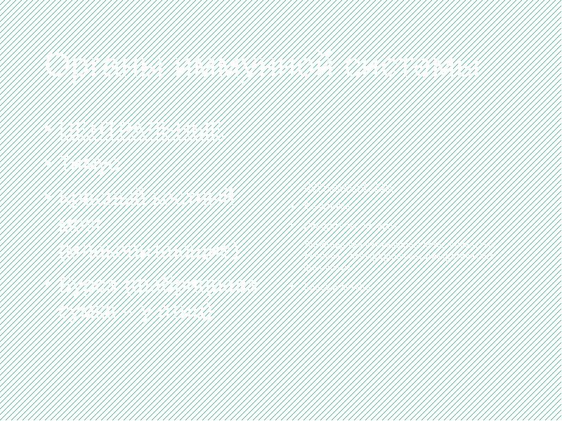 Органы иммунной системы
ЦЕНТРАЛЬНЫЕ
Тимус
Красный костный мозг (млекопитающие)
Бурса (фабрициева Органы иммунной системы
ЦЕНТРАЛЬНЫЕ
Тимус
Красный костный мозг (млекопитающие)
Бурса (фабрициева