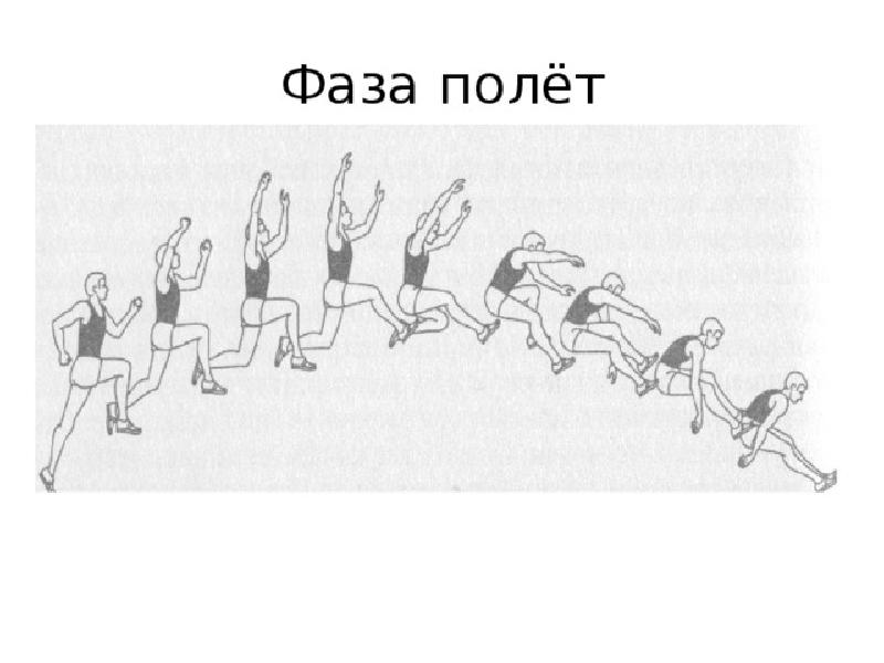 Прыжок с разбега. Техника прыжков в длину с разбега полет. Фаза полета в прыжках в длину с разбега. Фаза разбега в прыжках в длину с разбега. Прыжок в длину: полетная фаза.