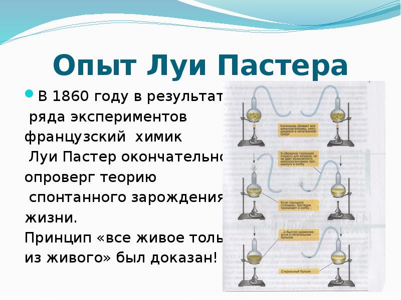 На рисунке показан опыт луи пастера какую теорию опроверг ученый этим опытом