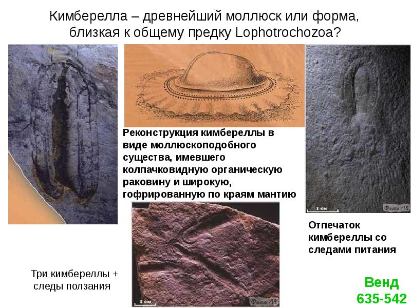 История радиопосланий землян презентация