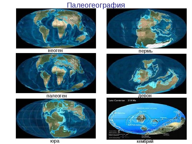 В какую эру истории земли вы читаете данный вопрос за компьютером