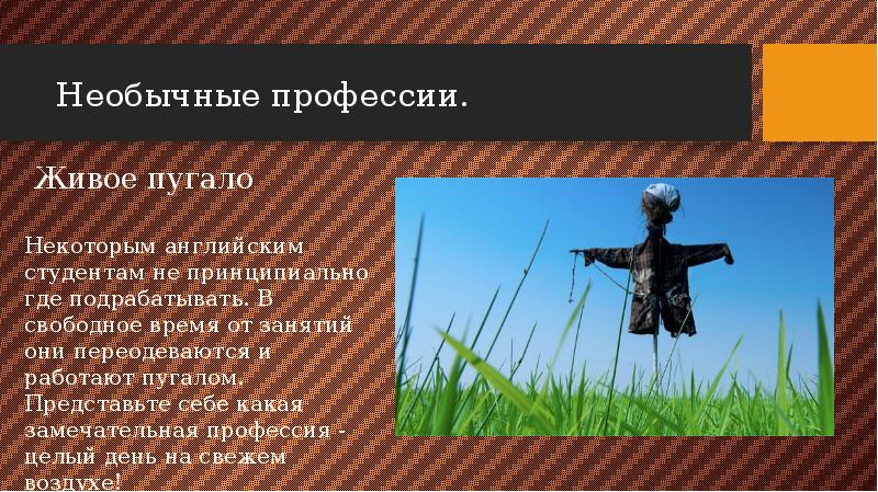 Необычные профессии.