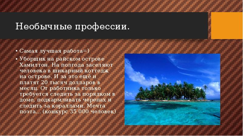 Необычные профессии. Самая лучшая работа=) Уборщик на райском острове Хамилтон. На
