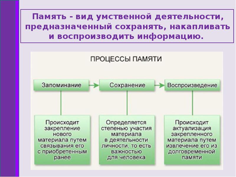 Виды памяти биология 8 класс презентация