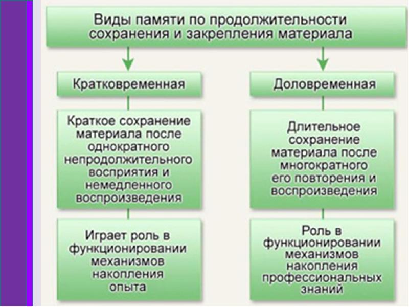 Память виды памяти презентация