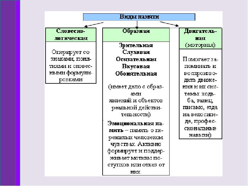 Память виды памяти презентация