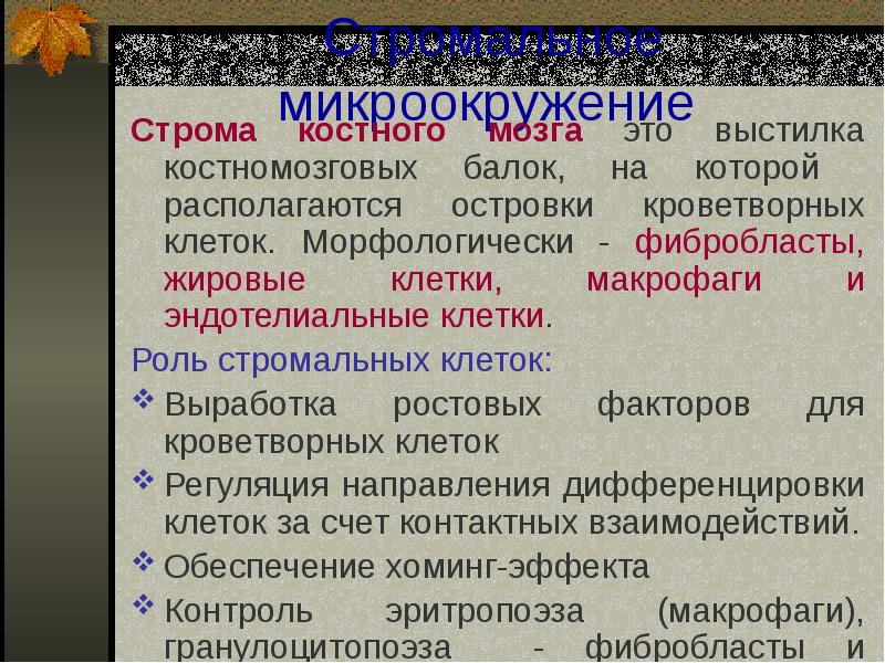 Ламелла в пластидах. Строма новообразования это. Функции стромы. Строение тилакоиды хлоропластов. Строение и функции роговицы гистология.