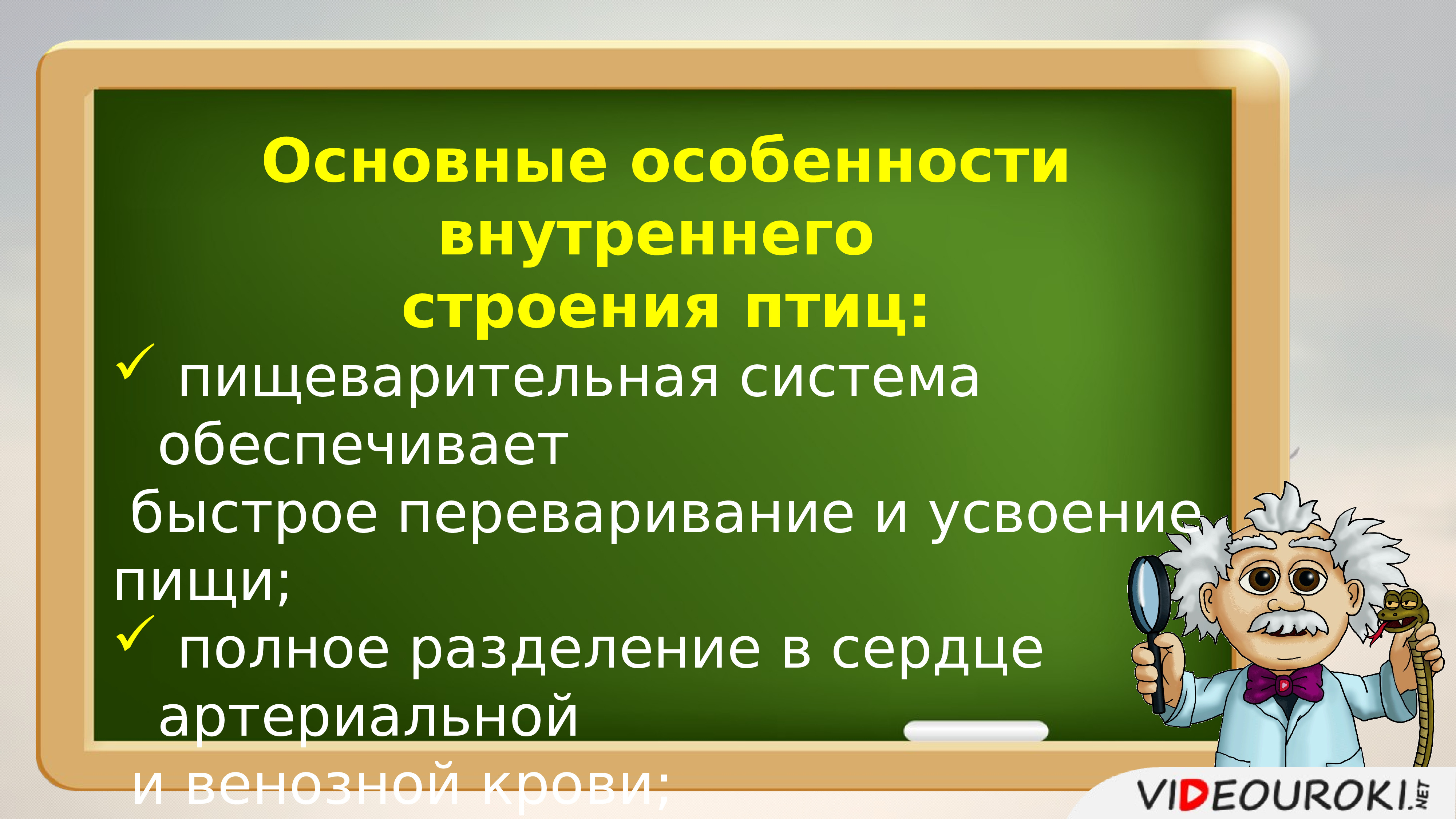 Как записать доклад с презентацией на видео